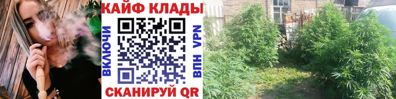 Виды наркоты Томари КОКАИН Конопля