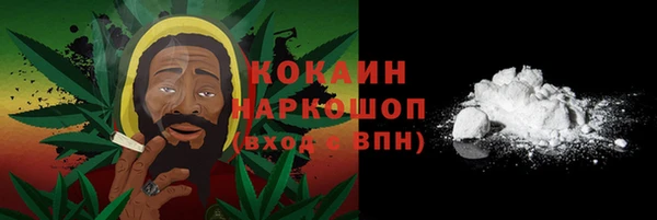 молекула духа Белая Холуница